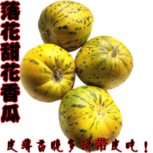 花皮甜瓜新鲜水果香瓜河南特产