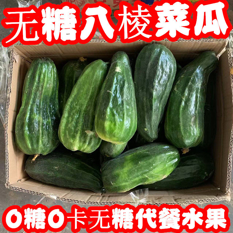 河南无糖菜瓜酥瓜水果当季黑皮八棱菜瓜脆瓜生吃烧瓜稍瓜现摘整箱