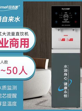 净水器RO反渗透净饮一体机家用自来水过滤水垢立式冰热一体饮水机