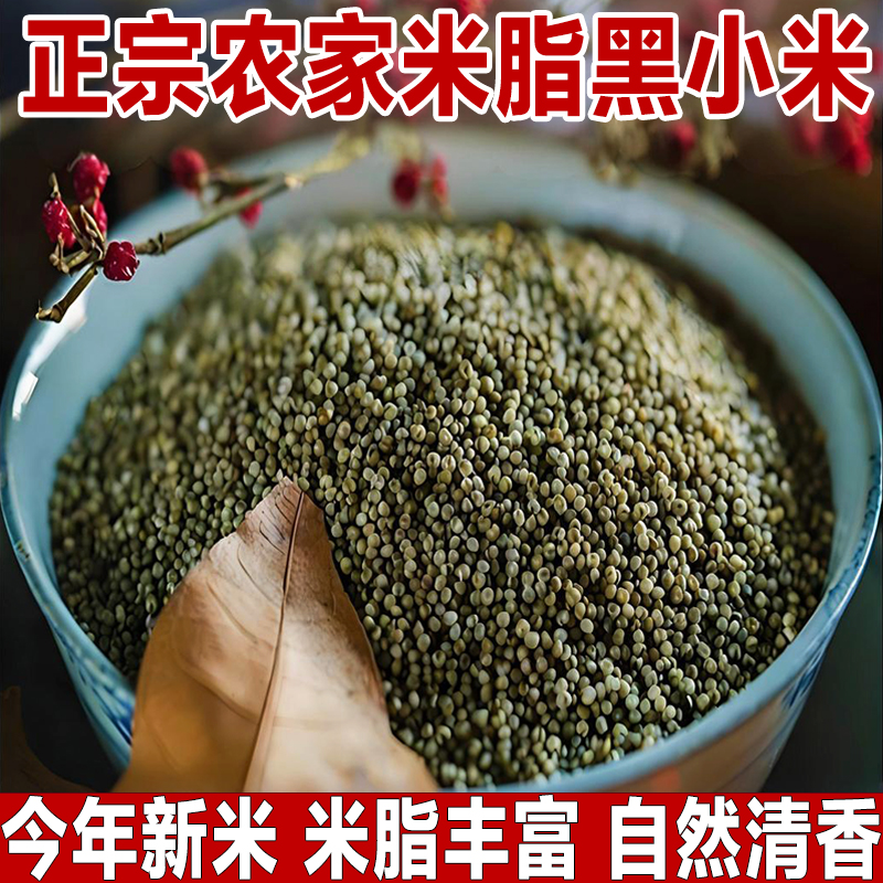 新米/正宗老品种米脂黑小米