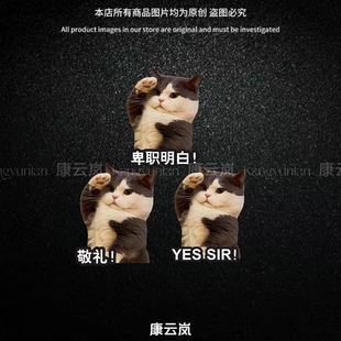 趣味猫咪敬礼车贴车身卑职明白玻璃电动摩托行李箱划痕遮挡装饰贴