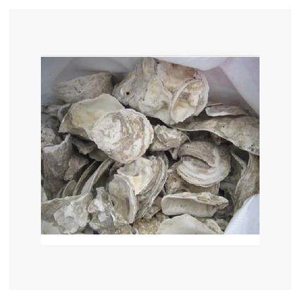 锦鲤池滤材 鱼池过滤材料/蚝壳/牡蛎壳 稳定PH500值,宠物/宠物食品及用品,过滤设备,淘宝优惠券,粉丝福利购,淘宝优惠卷