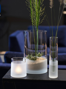 德国LEONARDO|Novara诺瓦拉玻璃花瓶插花软装创意水培花瓶ins风