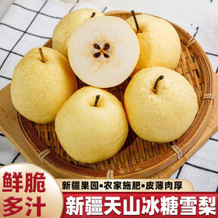 整箱梨子酥脆多汁 新疆天山雪梨正宗库尔勒冰糖雪梨新鲜水果当季