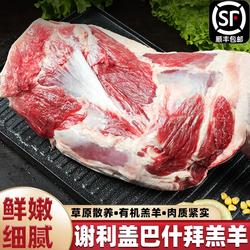 正宗新疆塔城绵羊肉谢利盖巴什拜羔羊排新鲜羊腿优质生鲜烧烤食材