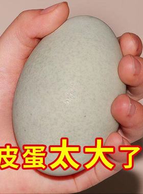 30枚70-80g克特大号正宗益阳特产无铅溏心松花皮蛋松花蛋土鸭蛋