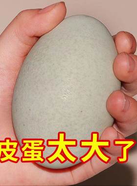 30枚70-80g克特大号益阳皮蛋鸭蛋