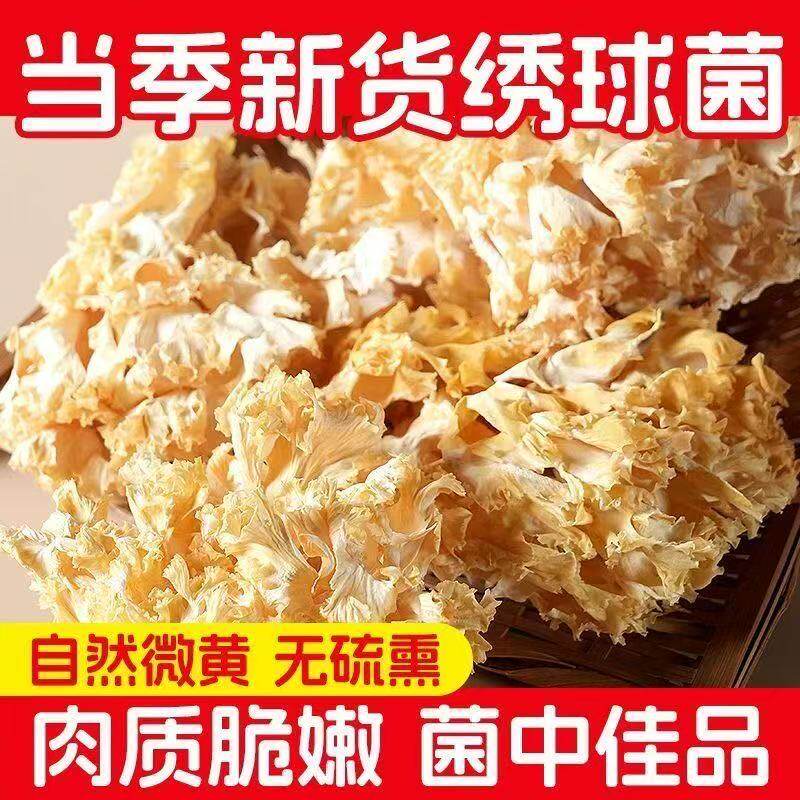 新货云南绣球菌绣球菇非香菇菌