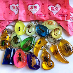 昆虫琥珀盲袋标本蝎子虫珀原石探索小学课本儿童礼物书包钥匙扣