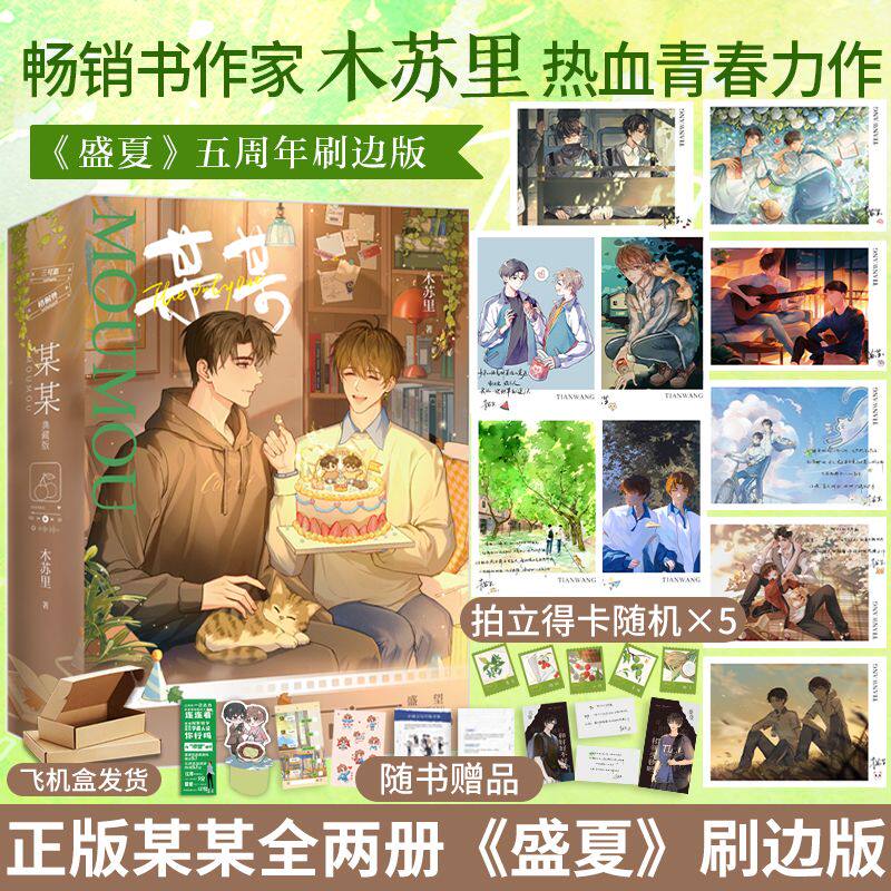 【正品刷边版】盛夏全二册 某某1+2纪念全套小说实体书木苏里著书江添盛望校园青春久别重逢