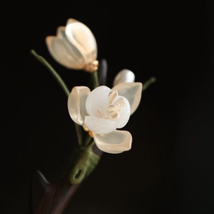 知春意  黑檀木簪盘发清新旗袍配饰女简约玉兰花发簪日常盘发发饰