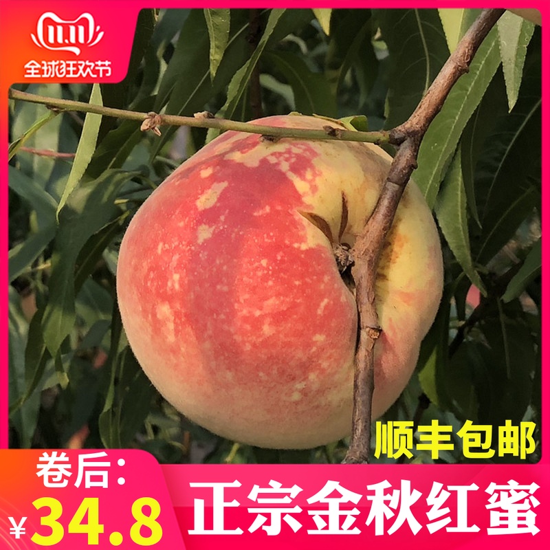 网友分享在meiguo.com的图片