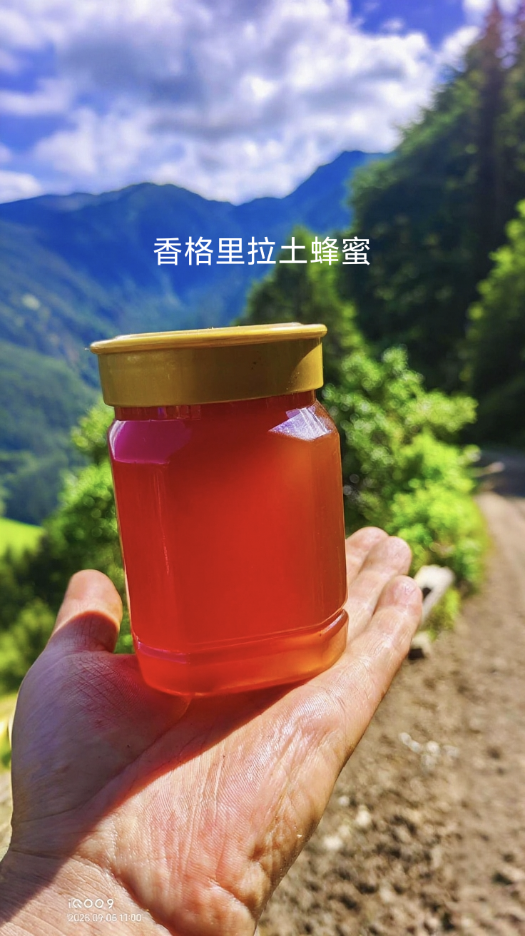 香格里拉野生树洞蜜，纯天然，纯土蜂蜜，百花蜜，高原野生蜜，
