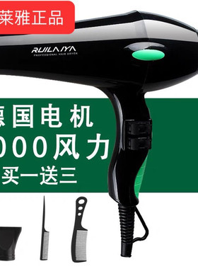 瑞莱雅正品发廊专业电吹风机大功率家用风筒护发负离子发型理发店