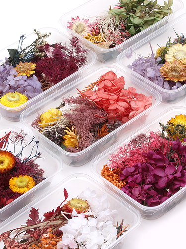 天然真花风干永生花diy手工花
