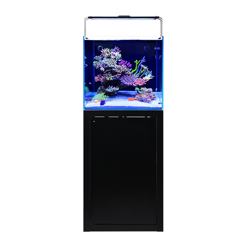 VASTOCEAN60CM海水鱼缸