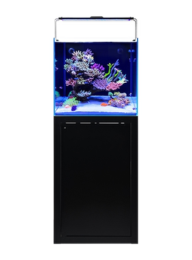 VASTOCEAN60CM海水鱼缸