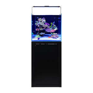 VASTOCEAN60CM海水鱼缸