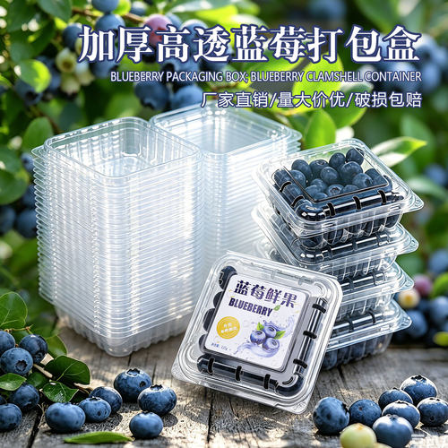 125克蓝莓打包盒一次性水果塑料盒加厚透明桑葚盒树莓桑果包装盒