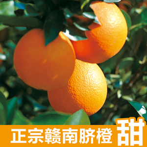赣南脐橙正宗纯天然农家新鲜甜橙子有机水果江西万安特产10斤装