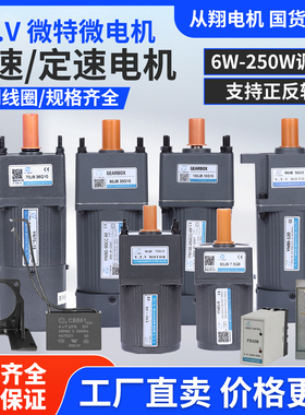 微特微VTV电机YN60 YN70 YN80 YN90 YN100 220V调速电机减速机