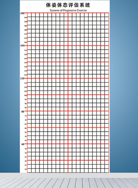 体态评估图壁画健身房体测表身体形体测评脊椎修复墙装饰瑜伽私教