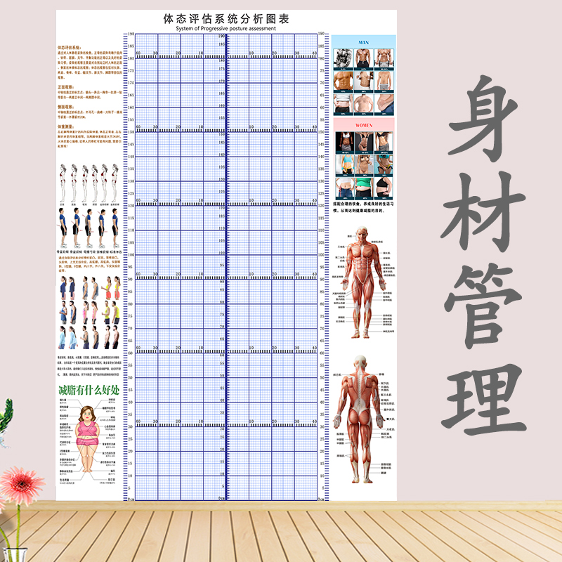 体态评估表格健身房私教瑜伽馆体测图简约综合体型表定制壁画挂式