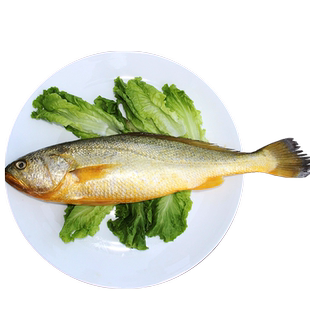威尔斯三都澳食品出品 4条共4--4.5斤鲜冻大黄鱼新鲜黄花鱼