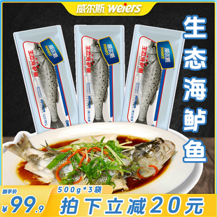 威尔斯清蒸海鲈鱼深海花鲈子鱼新鲜海鲜生鲜水产海鲈鱼500g*3袋