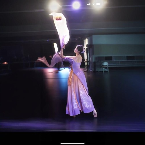 飘逸中国风艺考表演紫竹调舞蹈服