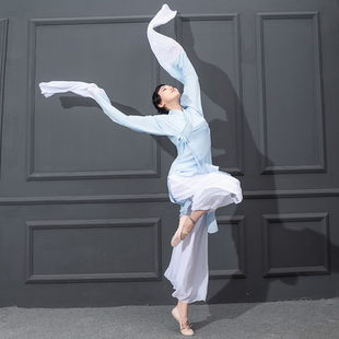 舞蹈服 戏曲古风水袖 古典舞演出服女飘逸中国风仙女甩袖 惊鸿舞服装