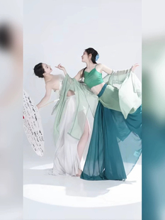 古典舞蹈演出服青蛇白蛇性感表演飘逸身韵纱衣外披女练功服大摆裙