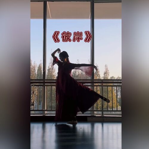 飘逸旦小怡舞蹈价低古典舞演出服