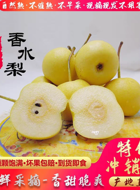 甘肃敦煌香水梨软儿梨新鲜冬水果当季特产包邮非东北冻黑梨香梨