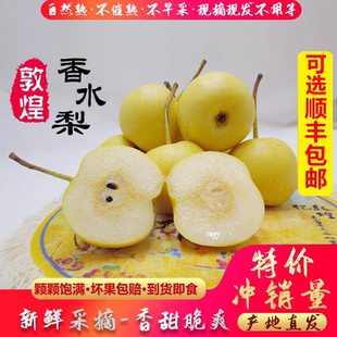 甘肃敦煌香水梨软儿梨新鲜冬水果当季特产包邮非东北冻黑梨香梨