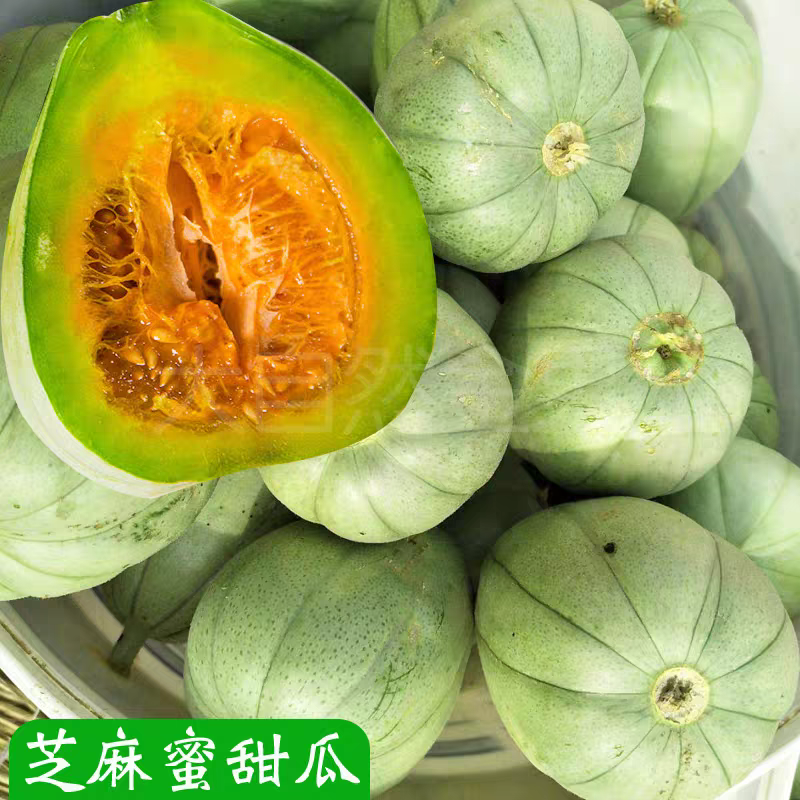 陕北芝麻蜜香瓜甜瓜芝麻小瓜陕北特产现摘香脆甜带箱10斤包邮