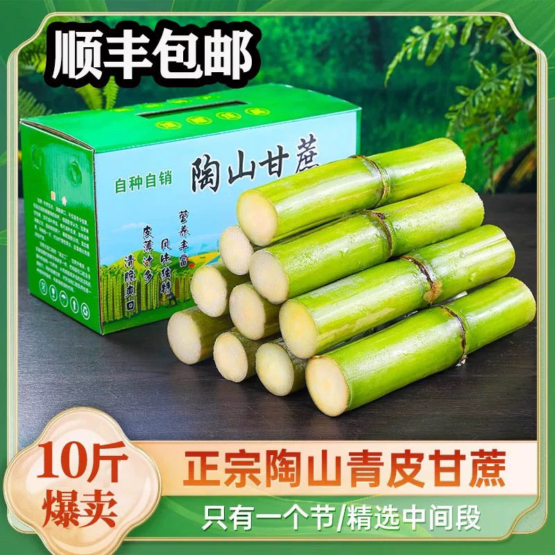 正宗陶山甘蔗新鲜青皮绿皮甘蔗孕甘蔗