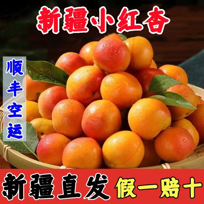 新疆小红杏金杏喀什阿克苏甜杏子新鲜水果当季整箱伊犁杏子小白杏图片