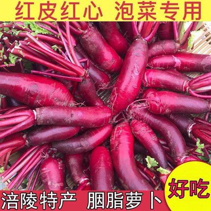 四川重庆胭脂萝卜泡菜专用涪陵特产新鲜红心萝卜 农家自种红皮