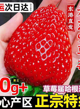 顺丰现摘现发红颜牛奶大草莓