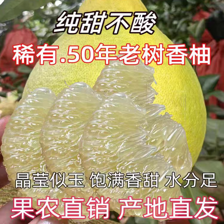正宗湖南江永老树香柚大果水果冰柚子