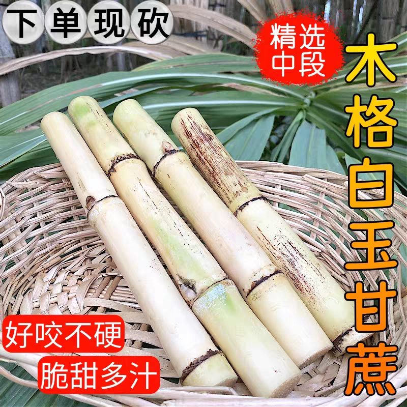 广西正宗木格白玉蔗甘蔗新鲜特产甘蔗