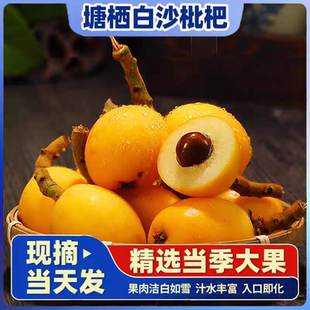 浙江杭州塘栖白沙枇杷新鲜水果礼盒装顺丰冷链包邮