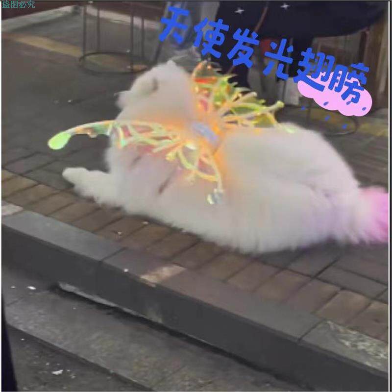 蝴蝶翅膀背饰狗狗发光天使翅膀儿童小学生礼物女童礼物带灯光遥控