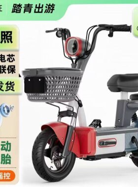 高续航新国标电动车 成人男女小型强劲动力代步电瓶车