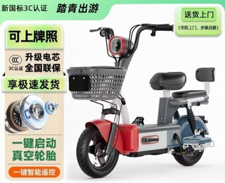 高续航新国标电动车 成人男女小型强劲动力代步电瓶车