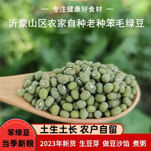 农家种植绿豆发豆芽煮粥绿豆新鲜毛绿豆小颗粒笨绿豆俺叫沂蒙山妞
