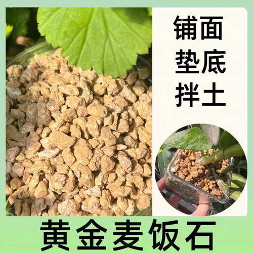 黄色麦饭石多肉铺面石