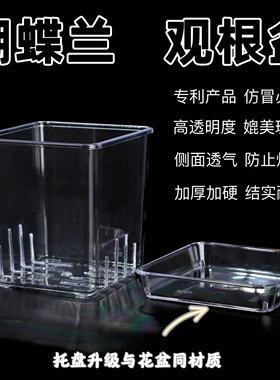 识兰第二代高透明方形透气带侧孔塑料蝴蝶兰专用观根控根专利花盆