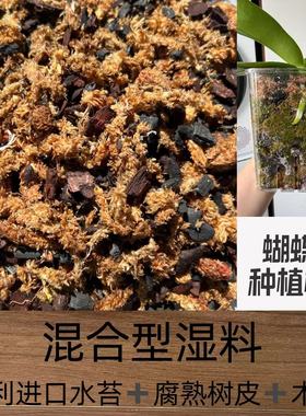 店主同款混合型植料种蝴蝶兰专用进口毛毛虫水苔加树皮木炭